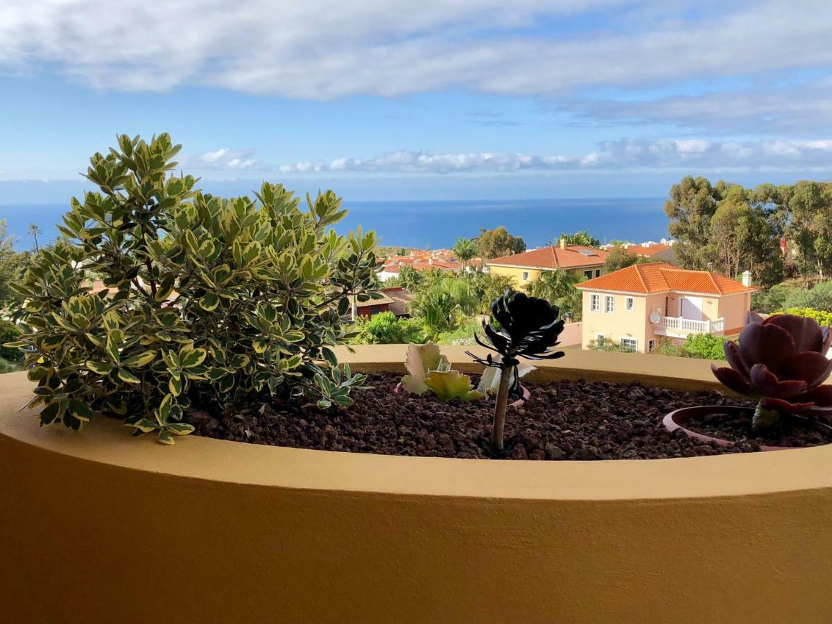 サンタ・ウルスラTerraza Vista Oceano La Quintaアパートメント エクステリア 写真