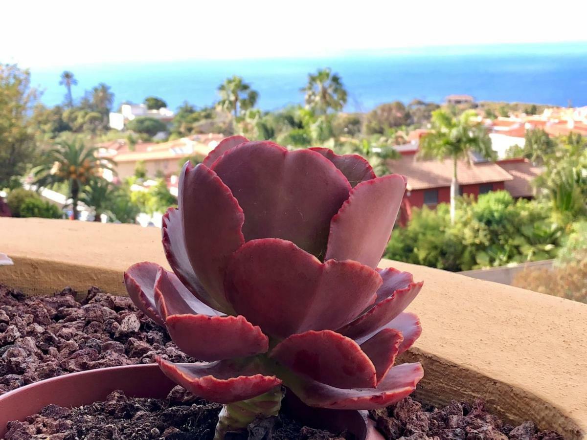 サンタ・ウルスラTerraza Vista Oceano La Quintaアパートメント エクステリア 写真