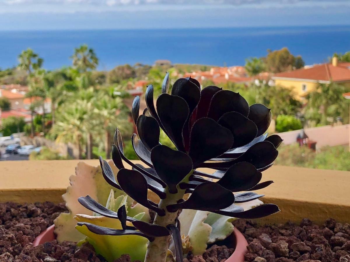 サンタ・ウルスラTerraza Vista Oceano La Quintaアパートメント エクステリア 写真